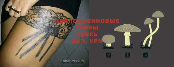 прущая мука Белокуриха