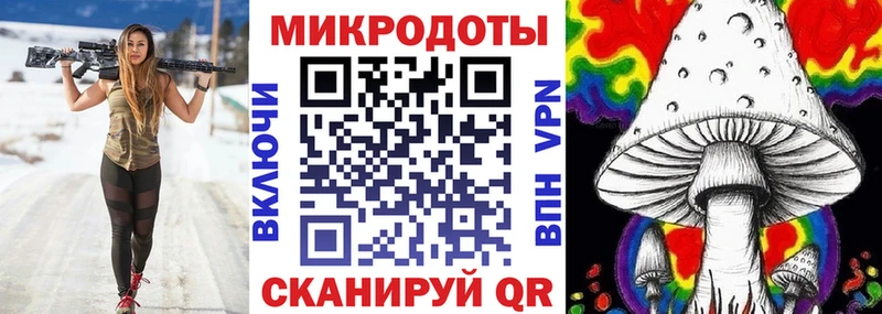 Галлюциногенные грибы Psilocybine cubensis  наркошоп  Гусев 
