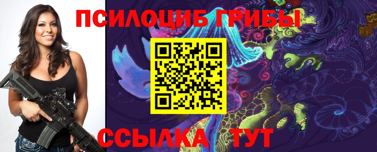 Псилоцибиновые грибы Psilocybe Гусев