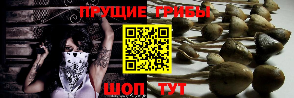 Галлюциногенные грибы Magic Shrooms  Галлюциногенные грибы Psilocybine cubensis  Вход с VPN  Гусев 