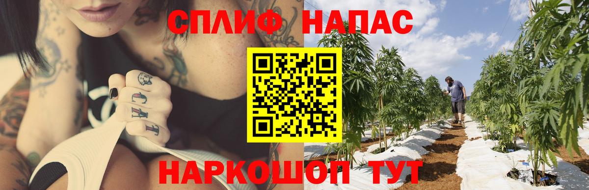 ГАШ Гусев